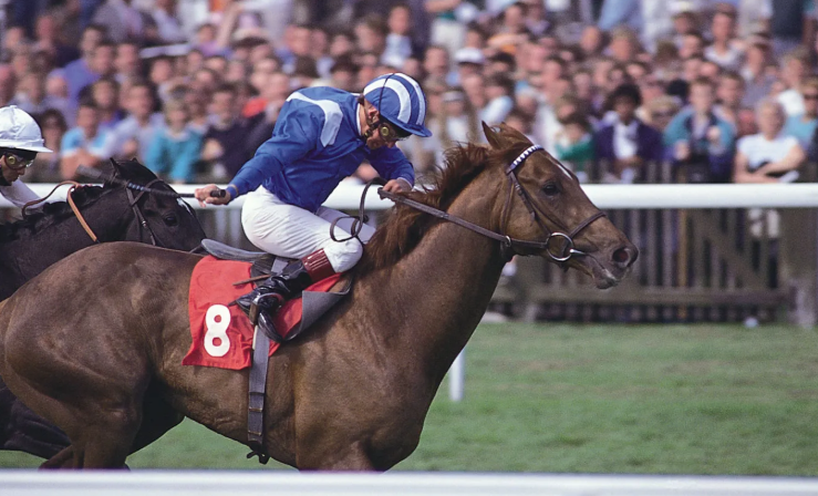 How a Typical Horse Race Works