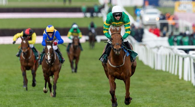 How Animal Artisans Create Racing Sculptures