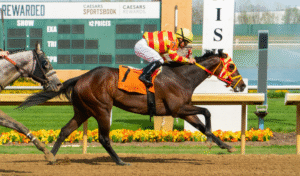 How Breeding Farms Operate