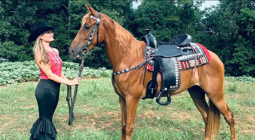 Horses Who Won Against All Odds